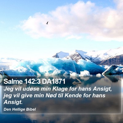 Salme 142:3 DA1871 Bible Verse Image