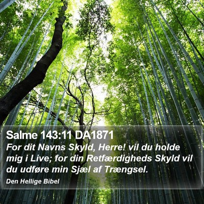Salme 143:11 DA1871 Bible Verse Image