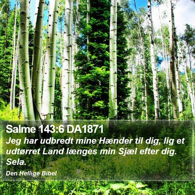 Salme 143:6 DA1871 Bible Verse Image