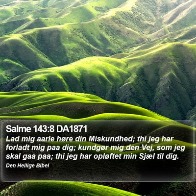 Salme 143:8 DA1871 Bible Verse Image