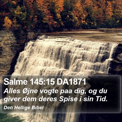Salme 145:15 DA1871 Bible Verse Image