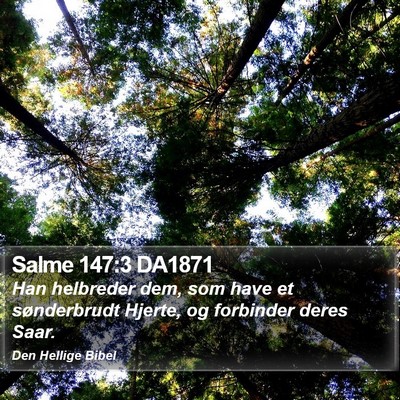 Salme 147:3 DA1871 Bible Verse Image