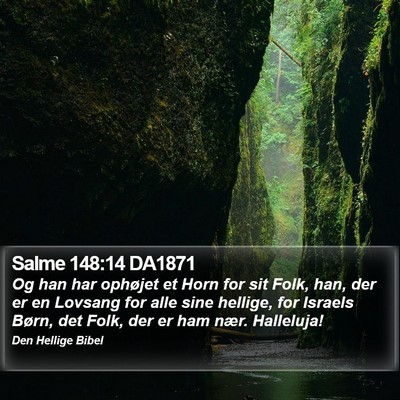 Salme 148:14 DA1871 Bible Verse Image