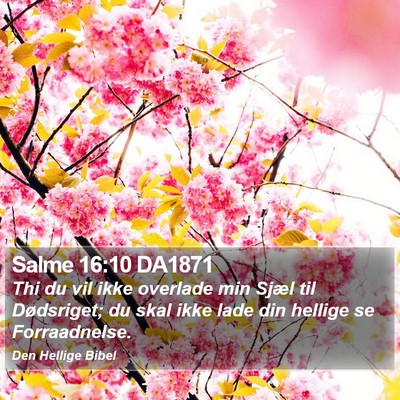 Salme 16:10 DA1871 Bible Verse Image