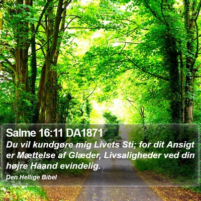 Salme 16:11 DA1871 Bible Verse Image