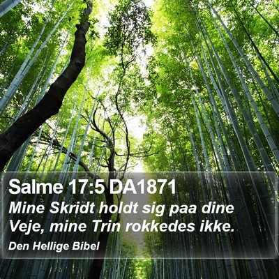 Salme 17:5 DA1871 Bible Verse Image