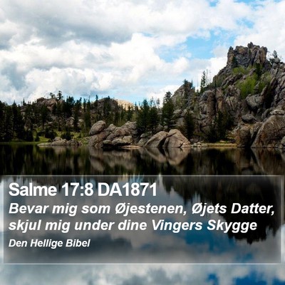 Salme 17:8 DA1871 Bible Verse Image