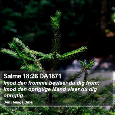 Salme 18:26 DA1871 Bible Verse Image