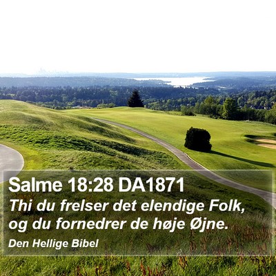 Salme 18:28 DA1871 Bible Verse Image