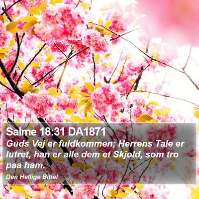 Salme 18:31 DA1871 Bible Verse Image