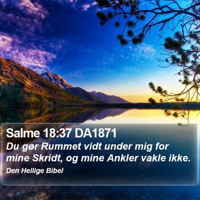 Salme 18:37 DA1871 Bible Verse Image