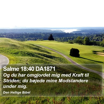 Salme 18:40 DA1871 Bible Verse Image
