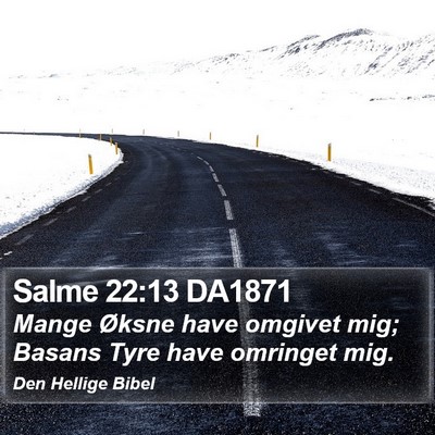 Salme 22:13 DA1871 Bible Verse Image