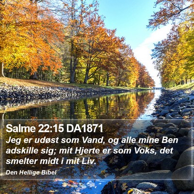 Salme 22:15 DA1871 Bible Verse Image