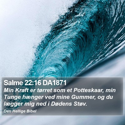 Salme 22:16 DA1871 Bible Verse Image
