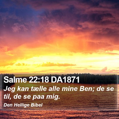 Salme 22:18 DA1871 Bible Verse Image