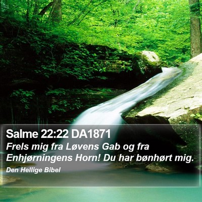Salme 22:22 DA1871 Bible Verse Image