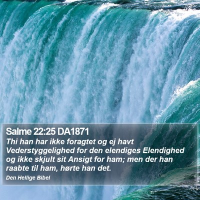 Salme 22:25 DA1871 Bible Verse Image