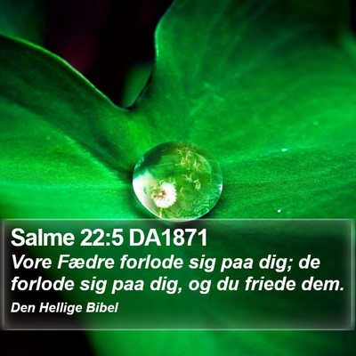 Salme 22:5 DA1871 Bible Verse Image