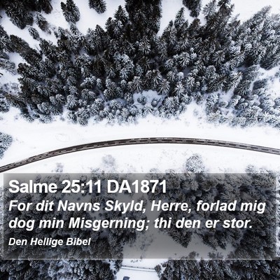 Salme 25:11 DA1871 Bible Verse Image