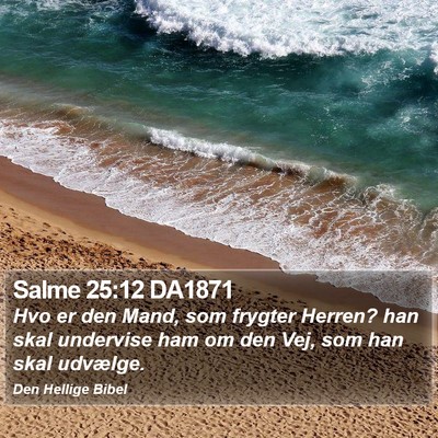 Salme 25:12 DA1871 Bible Verse Image