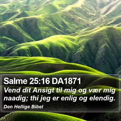Salme 25:16 DA1871 Bible Verse Image