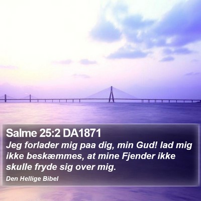 Salme 25:2 DA1871 Bible Verse Image