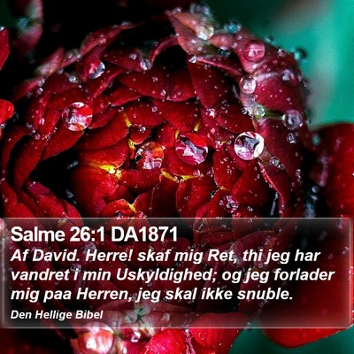Salme 26:1 DA1871 Bible Verse Image