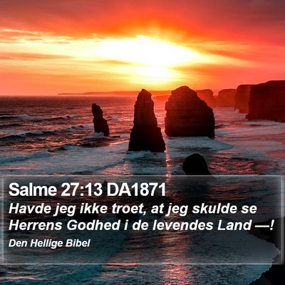 Salme 27:13 DA1871 Bible Verse Image