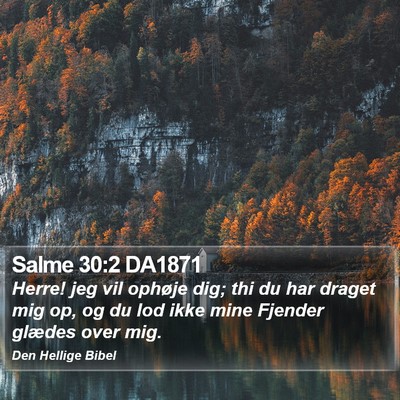 Salme 30:2 DA1871 Bible Verse Image