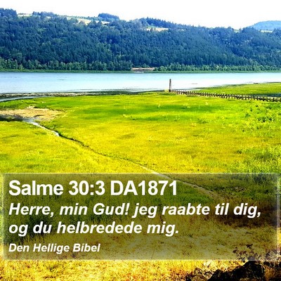 Salme 30:3 DA1871 Bible Verse Image