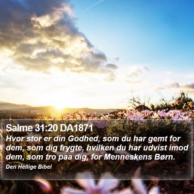 Salme 31:20 DA1871 Bible Verse Image