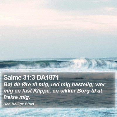 Salme 31:3 DA1871 Bible Verse Image