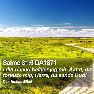 Salme 31:6 DA1871 Bible Verse Image