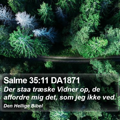 Salme 35:11 DA1871 Bible Verse Image