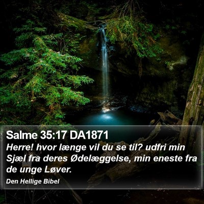 Salme 35:17 DA1871 Bible Verse Image