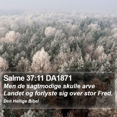 Salme 37:11 DA1871 Bible Verse Image