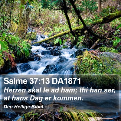 Salme 37:13 DA1871 Bible Verse Image