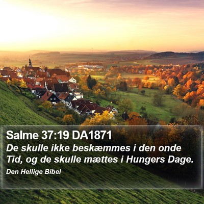 Salme 37:19 DA1871 Bible Verse Image