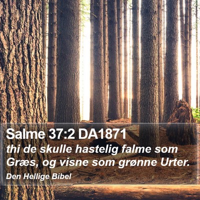 Salme 37:2 DA1871 Bible Verse Image