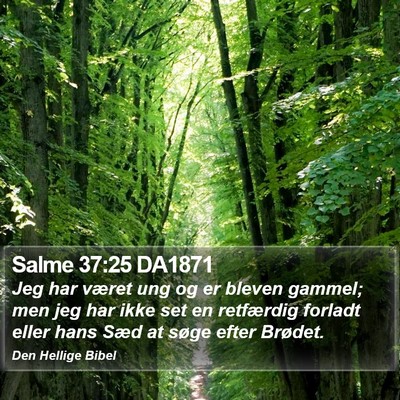 Salme 37:25 DA1871 Bible Verse Image