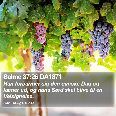 Salme 37:26 DA1871 Bible Verse Image