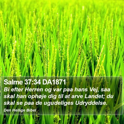 Salme 37:34 DA1871 Bible Verse Image