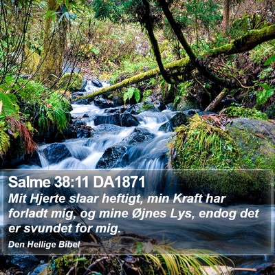 Salme 38:11 DA1871 Bible Verse Image
