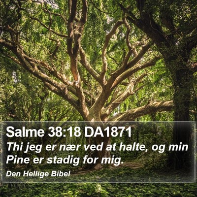 Salme 38:18 DA1871 Bible Verse Image