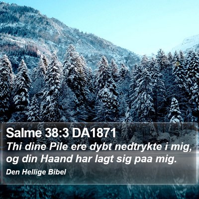 Salme 38:3 DA1871 Bible Verse Image