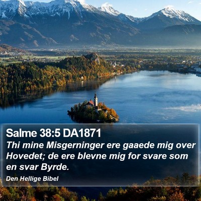Salme 38:5 DA1871 Bible Verse Image