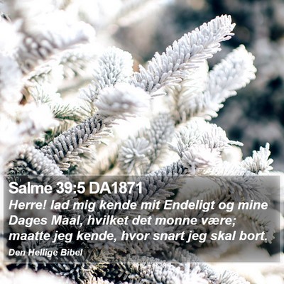 Salme 39:5 DA1871 Bible Verse Image