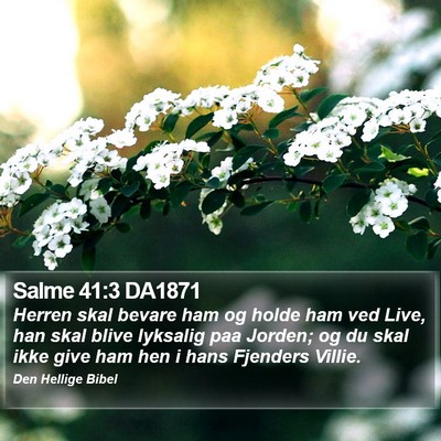 Salme 41:3 DA1871 Bible Verse Image