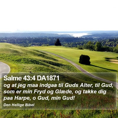 Salme 43:4 DA1871 Bible Verse Image